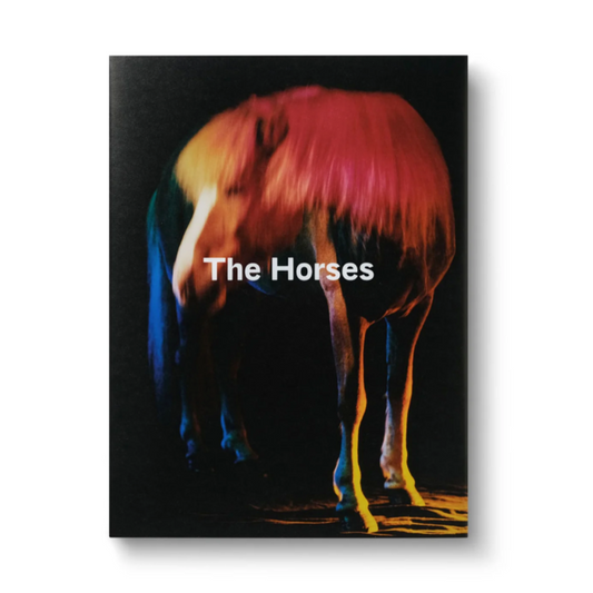 THE HORSES by GARETH MCCONNELL