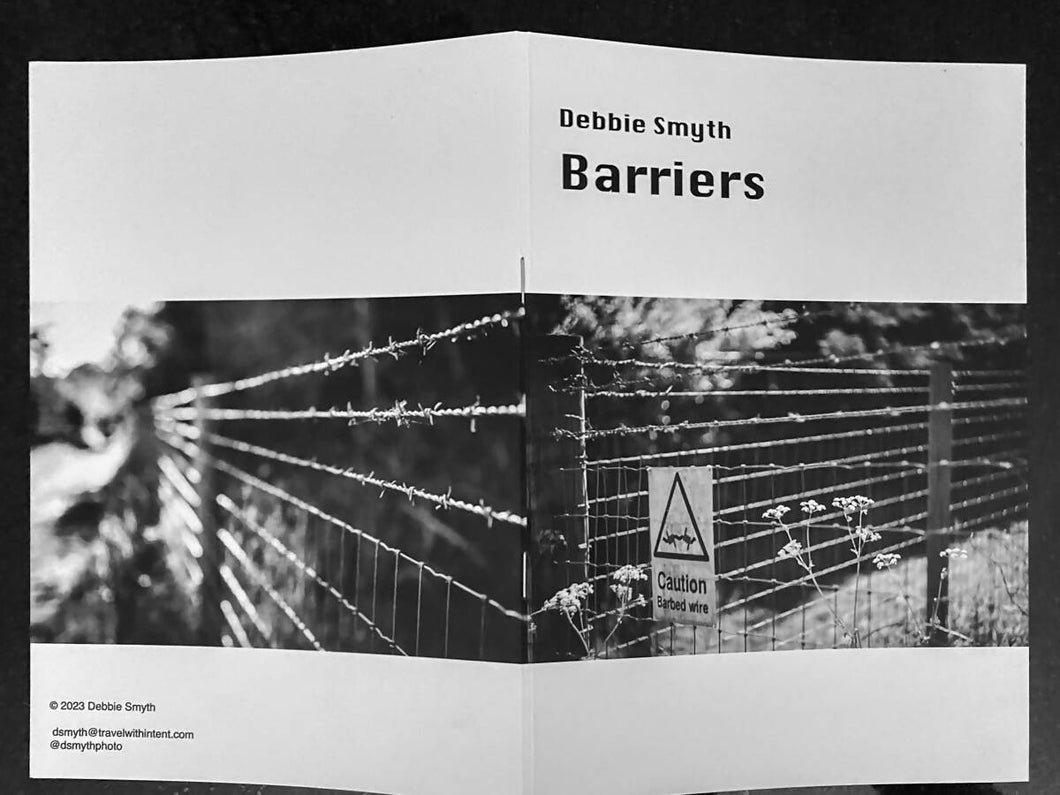 Barriers by Debbie Smyth