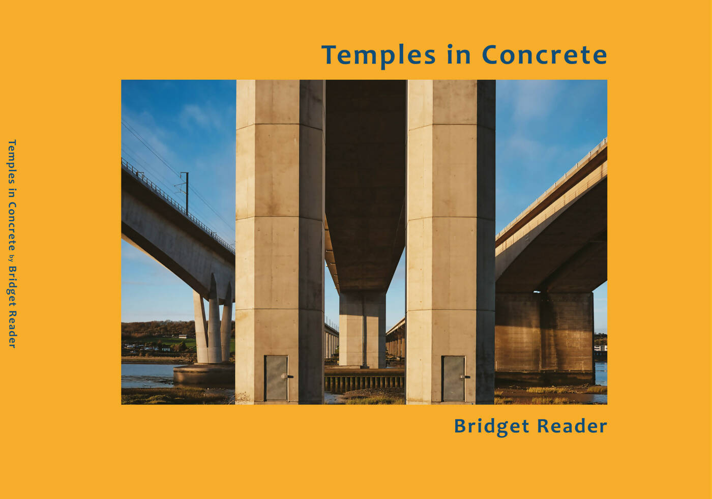 Temples in Concrete by Bridget Reader